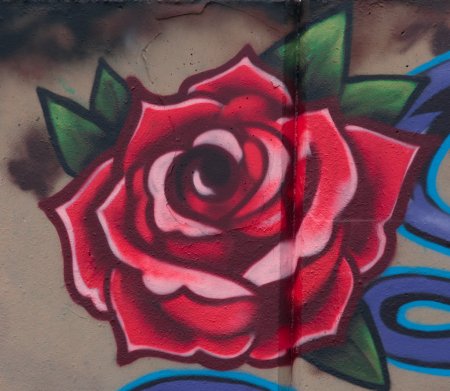 Роза граффити