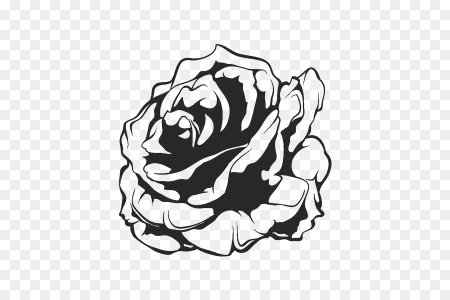 Роза вектор чб