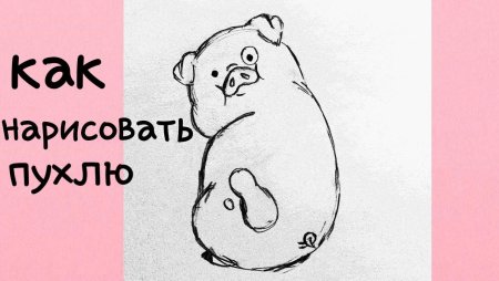 Пухля нарисовать поэтапно