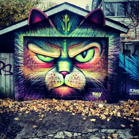 Граффити кот