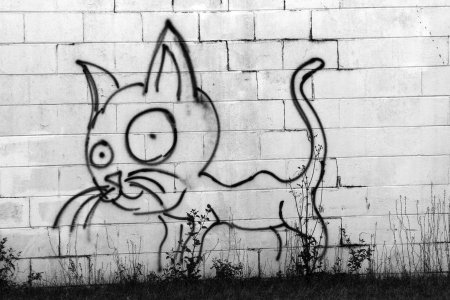 Граффити кошка