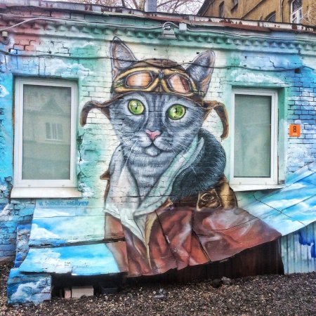 Стрит арт кот