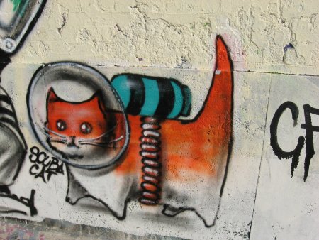 Стрит арт кошки