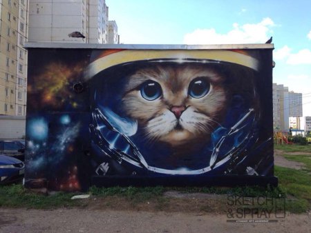 Граффити кот