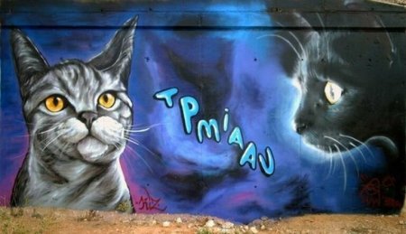 Граффити коты