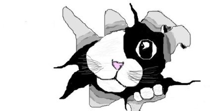 Граффити кот