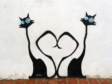 Черный кот граффити