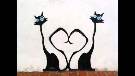 Черный кот граффити