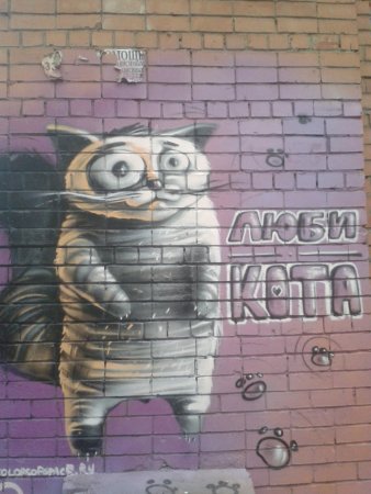 Прикольные коты граффити