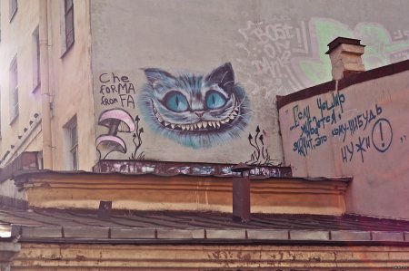 Граффити кот