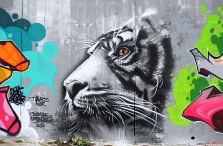 Тигр граффити рисунок