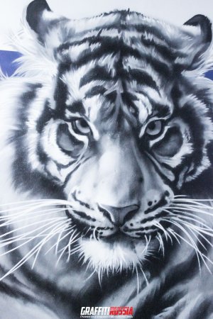 Тигр граффити