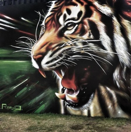 Тигр граффити