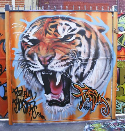 Тигр граффити