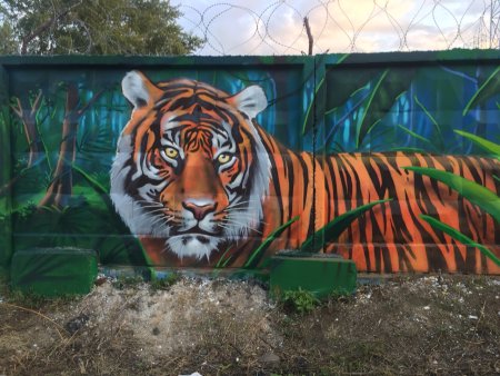Аэрография на бетонном заборе
