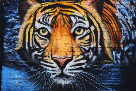 Тигр граффити
