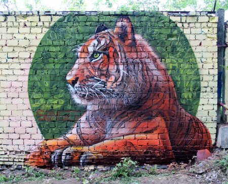 Сергей Акрамов стрит арт