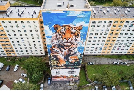 Граффити тигр Владивосток