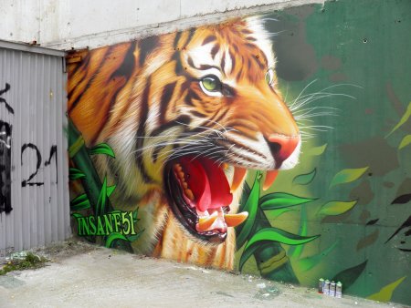 Тигр граффити