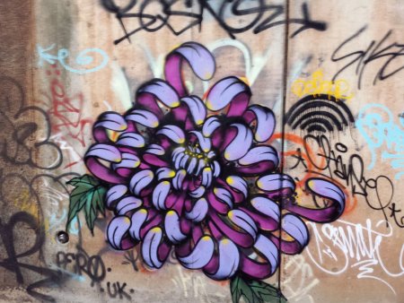 Граффити цветы