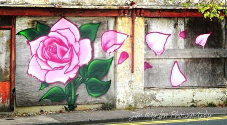 Роуз граффити