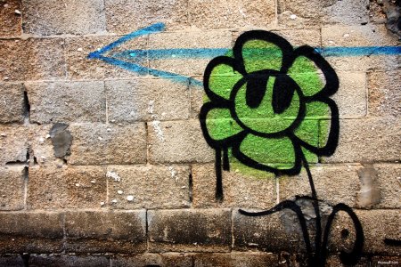 Граффити цветочки