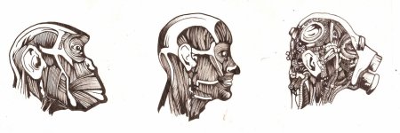 Half Life 2 граффити