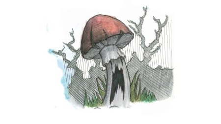 Крутой гриб рисунок