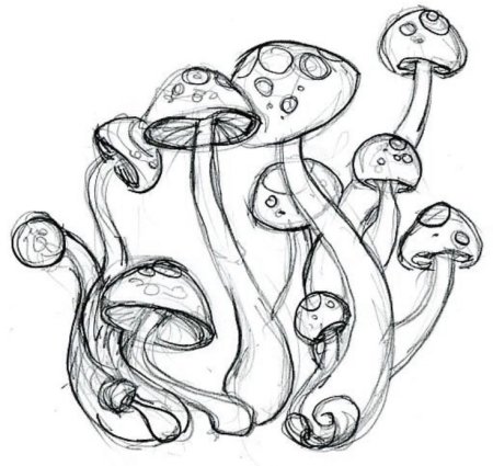Рисунки для срисовки грибы