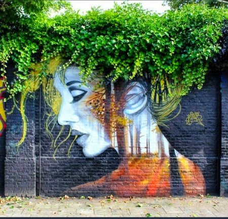 Картины на заборе