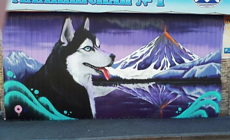 Стрит арт Петропавловск-Камчатский