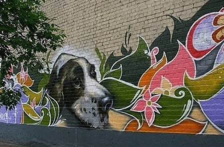 Роспись на заборах и стенах домов