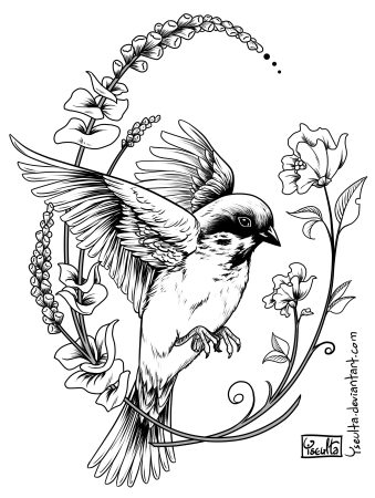 Птица эскиз