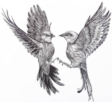 Птица карандашом