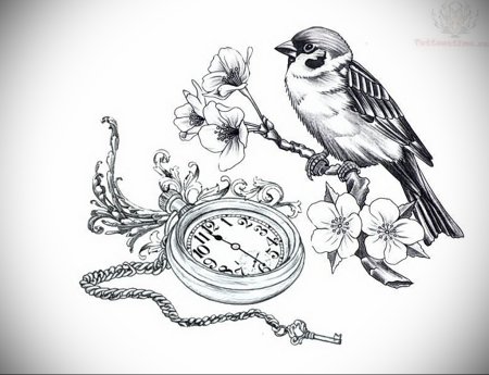 Тату птица чб