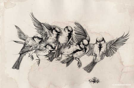 Наброски птиц