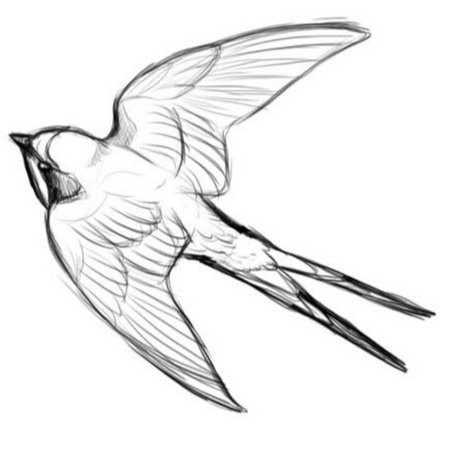 Ласточка карандашом