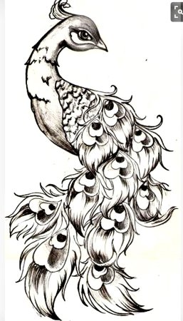 Птицы карандашом для срисовки