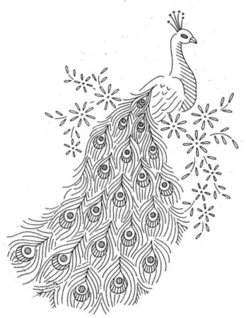 Рисунок павлина карандашом