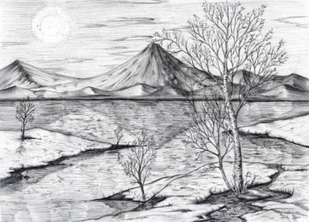 Природа карандашом