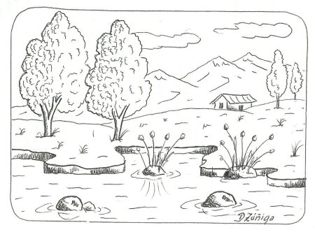 Раскраска пейзаж Весна