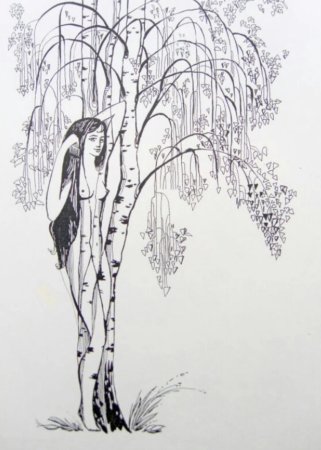 Плакучая береза рисунок