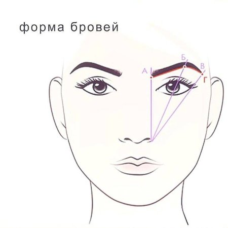 Схема эскиза бровей