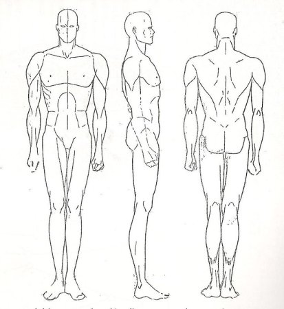 Эскизы для моделирования