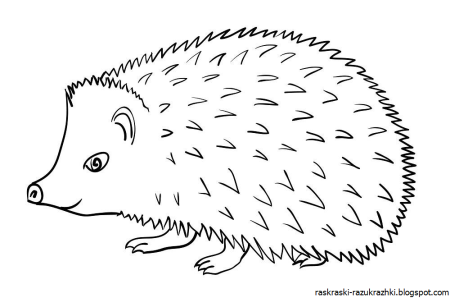 Раскраска Ёжик
