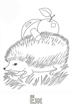 Раскраска Ёжик