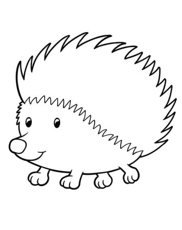 Ежик картинка