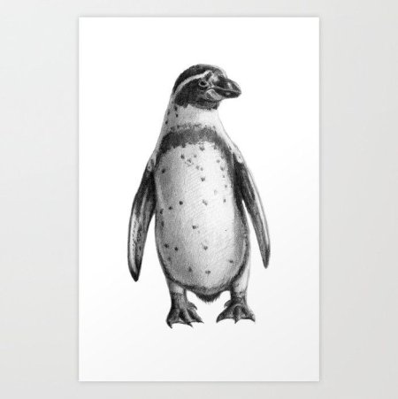 Скетчинг Пингвин