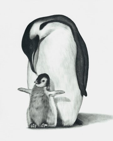 Пингвин зарисовка