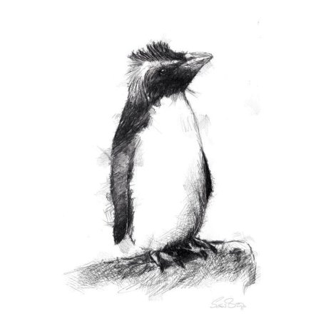 Наброски пингвинчиков